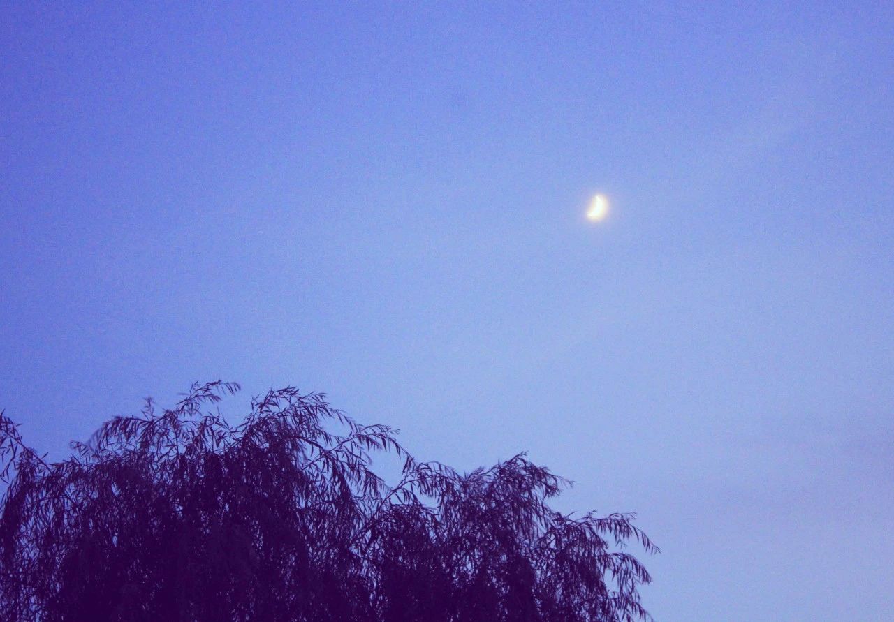 中秋十大绝美诗句摘选,最值得学的一首中秋诗词