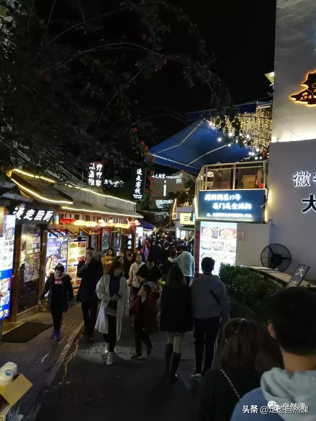 舌尖上的植物学线上课,舌尖上的植物学课程