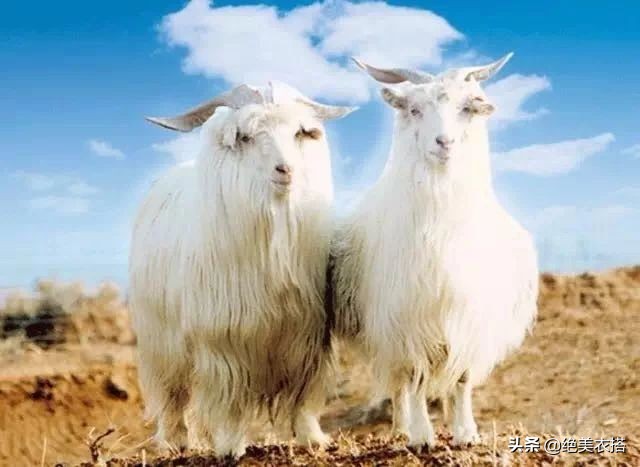 双面羊绒大衣极简轻奢风早秋穿搭,黑色羊绒大衣中长款外套穿搭