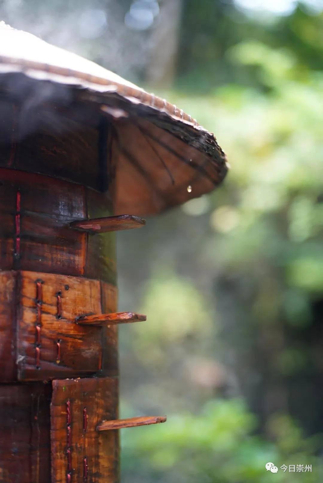 崇州粉蒸肉哪家好吃,崇州味道
