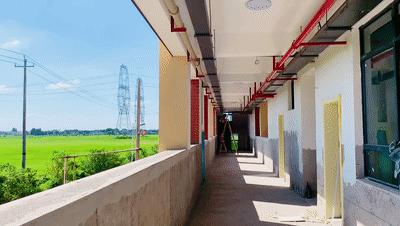 妙！望城这所幼儿园，“生长”在绿色田野里……