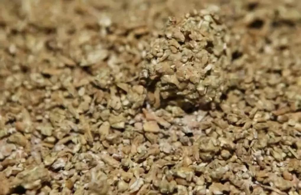 浓香大曲酿酒工艺流程,酿酒技术专业了解