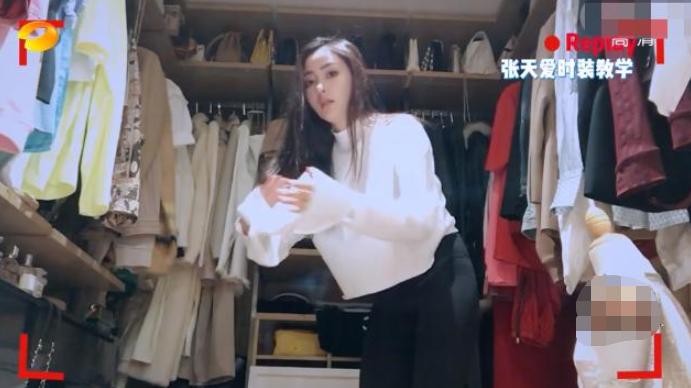 女明星的衣柜图片大全,女明星衣柜效果图