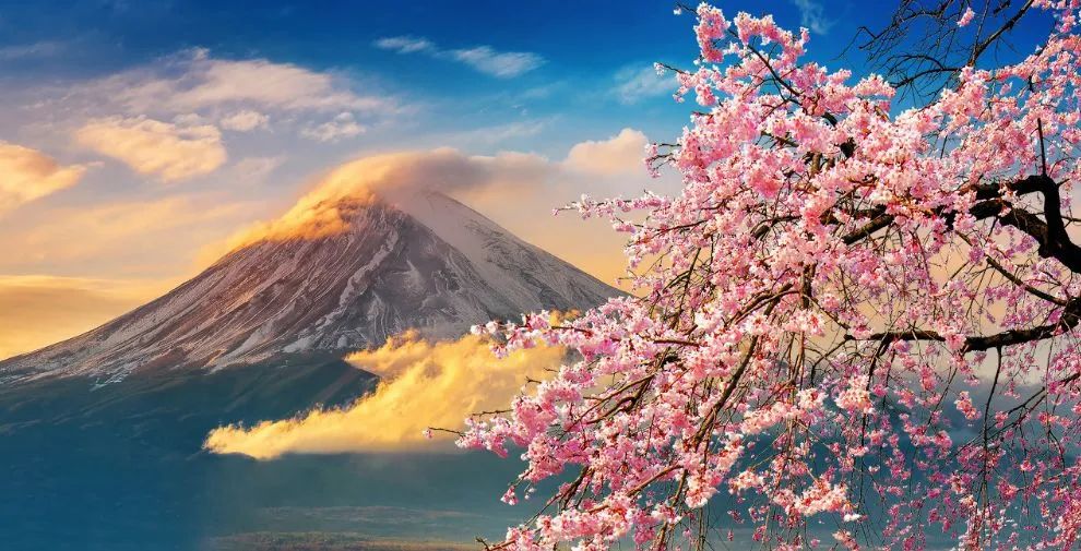 从上流贵妇喜爱的“鼠色”，到涩谷辣妹钟情的茶色，尽显日本风流