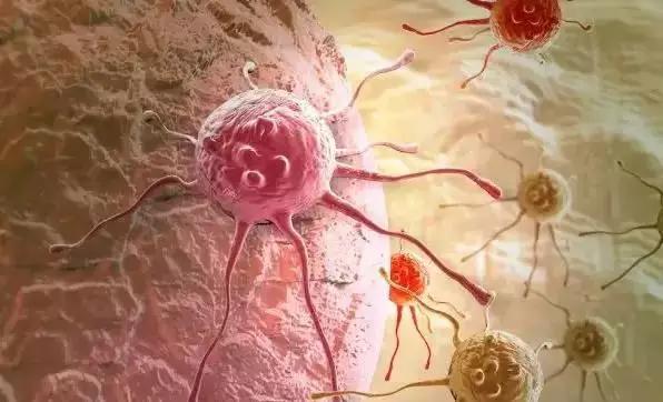 美国惊人发现：癌细胞最怕“爱”