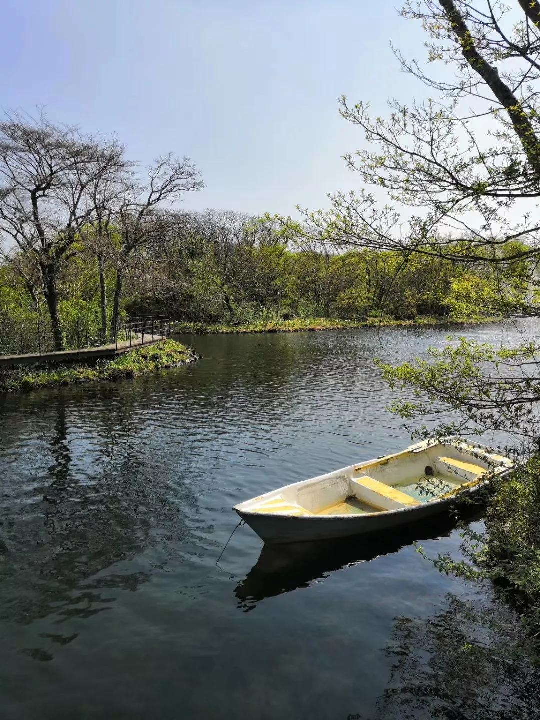 心血来潮去爬山,想去济州岛看海
