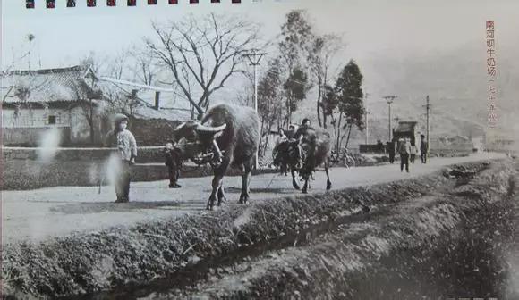 图说广元：历史的“老广元”，有多少人还记得她曾经的模样？