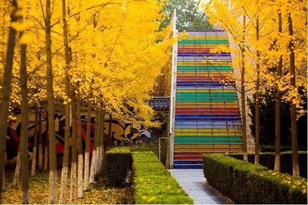 西京学院的真实感受,逛了一圈大学校园