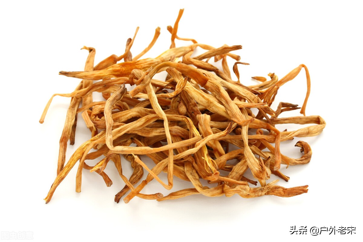 病毒性腹泻中草药,治疗牛病毒性腹泻的中药