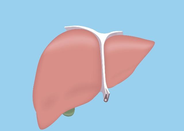 乙肝入职体检小三阳肝功能正常吗,入职体检乙肝45阳合格吗