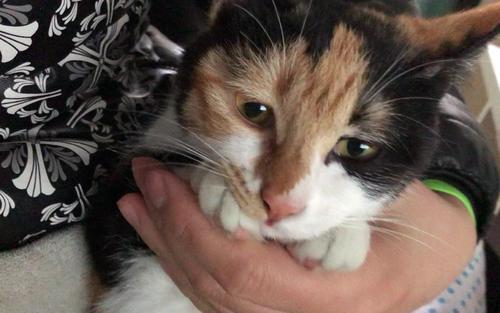 全职妈妈10万零花钱,全职妈妈5年零收入