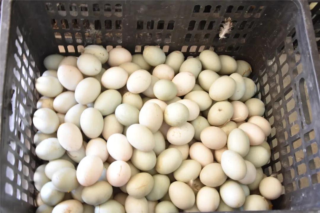 花姐带货直播间,花姐直播带货直播间