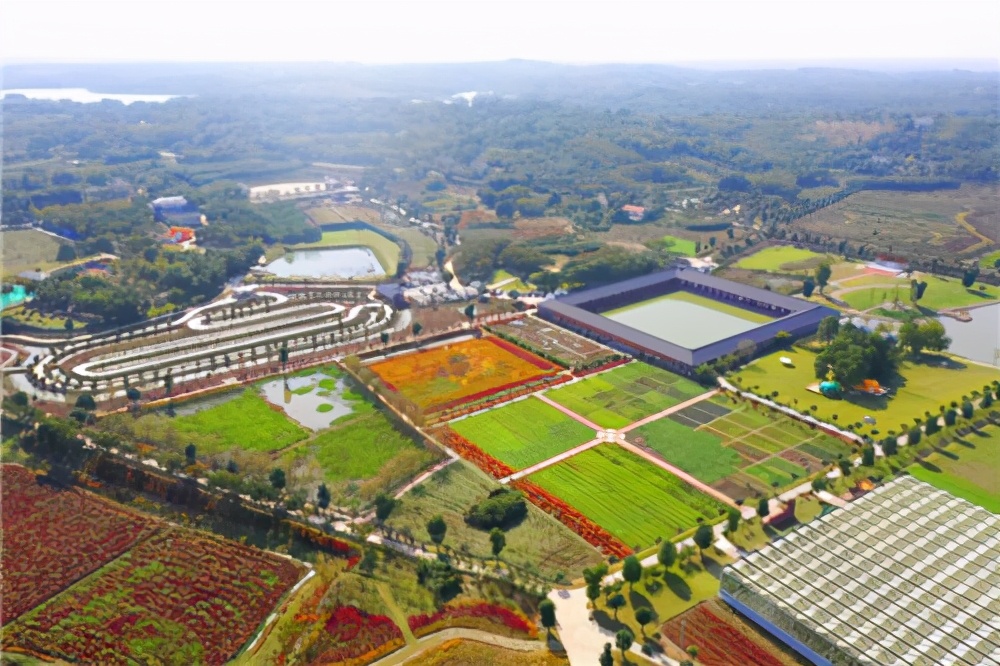 党建引领助力农旅融合发展,农旅融合党建