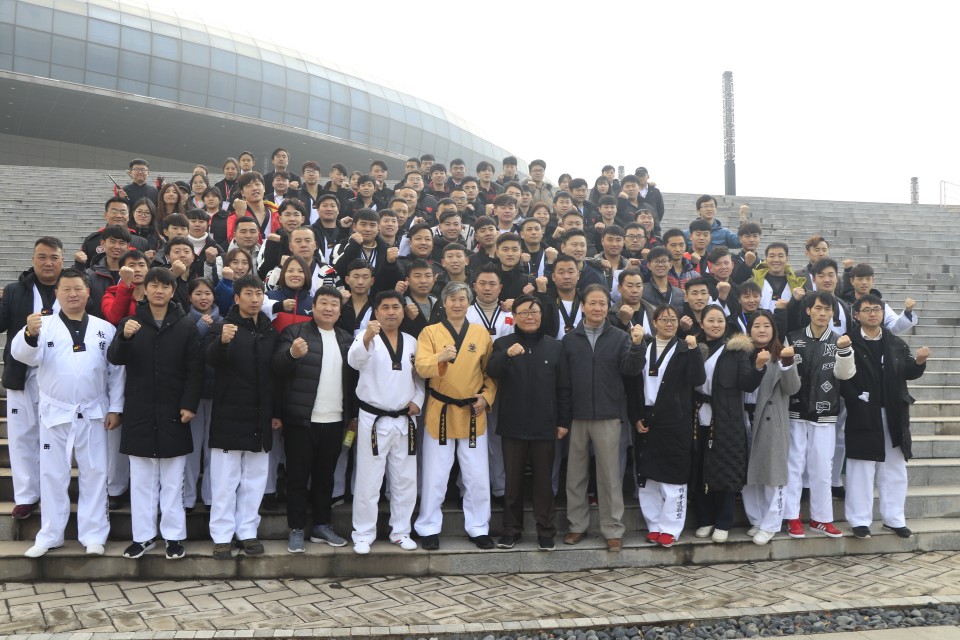 2018普信杯中韩跆拳道精英赛,吉林省2010中韩跆拳道交流赛