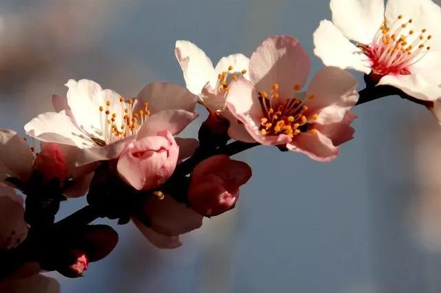 一位拥有多重身份的现代职业女性，偏偏钟情于*藏西**，是有病吗？