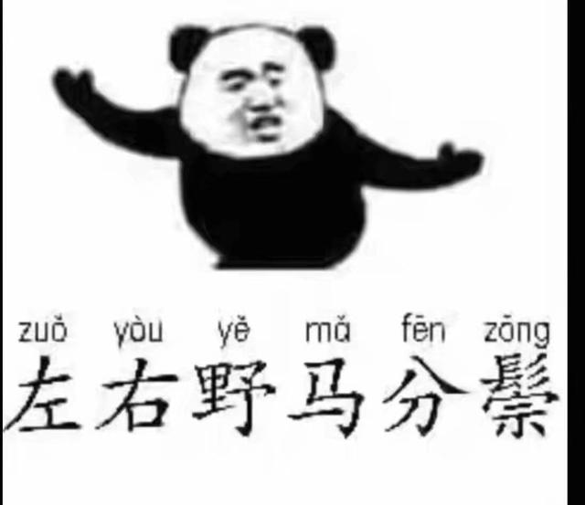 邱慧芳二十四式太极拳教程158分钟,太极二十四式太极拳视频