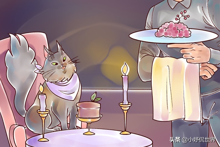 大多数人生活的困境,大多数人遇到的内心困境