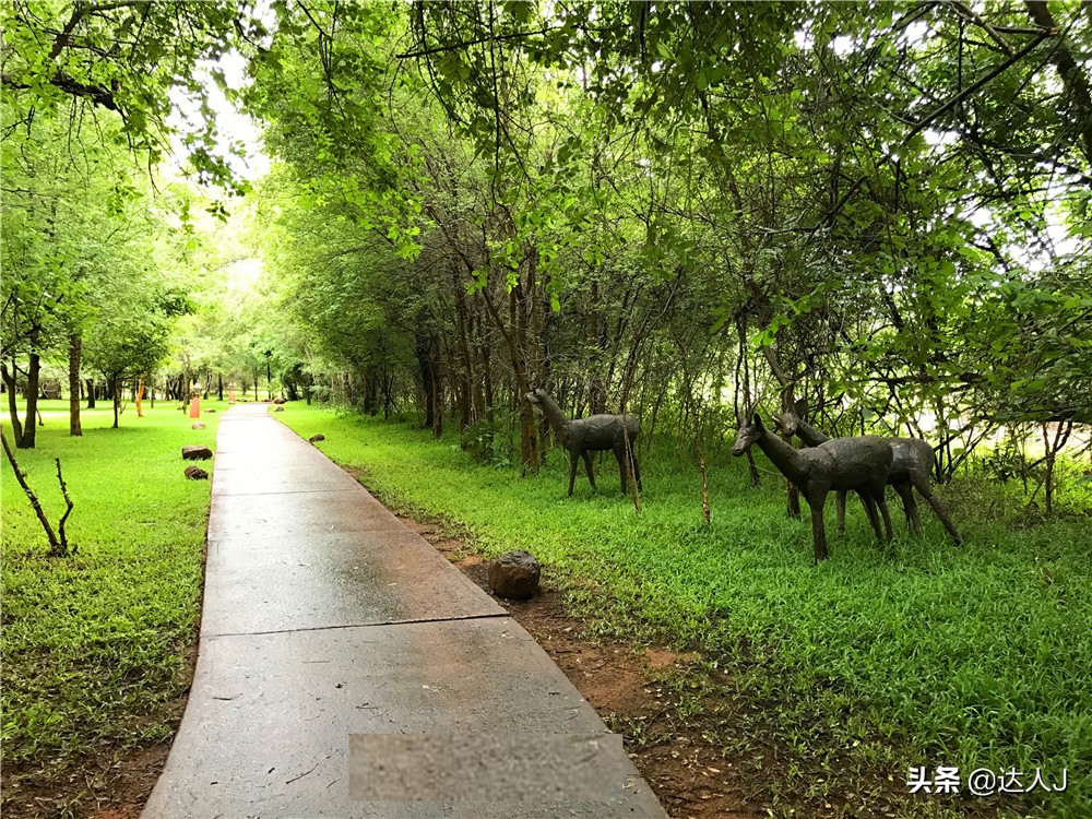 #全民热遗#小天独家，你敢不敢在这个瀑布上洗澡？