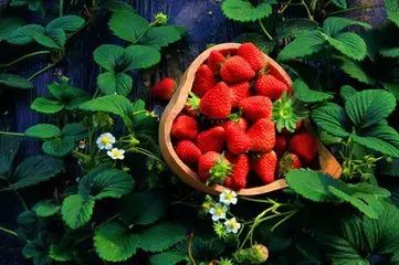 淄博周末旅游攻略自由行,淄博冬季旅游攻略