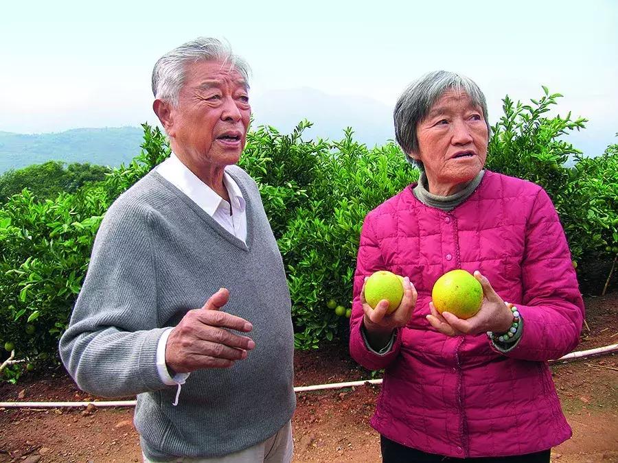 王石离开万科完整版,王石想回到年轻的时候