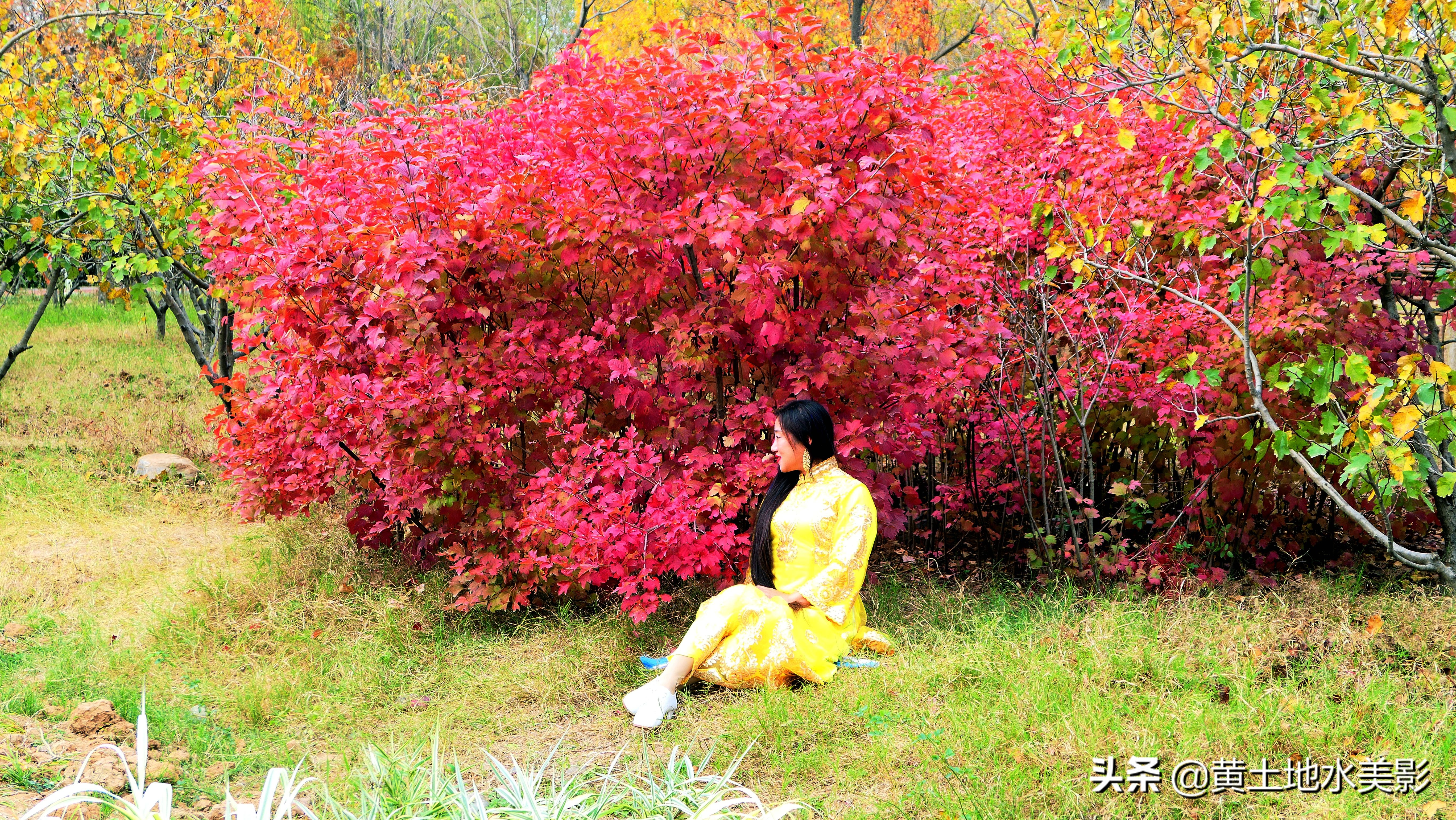 免费游玩东湖公园攻略,游玩国家湿地野鸭湖