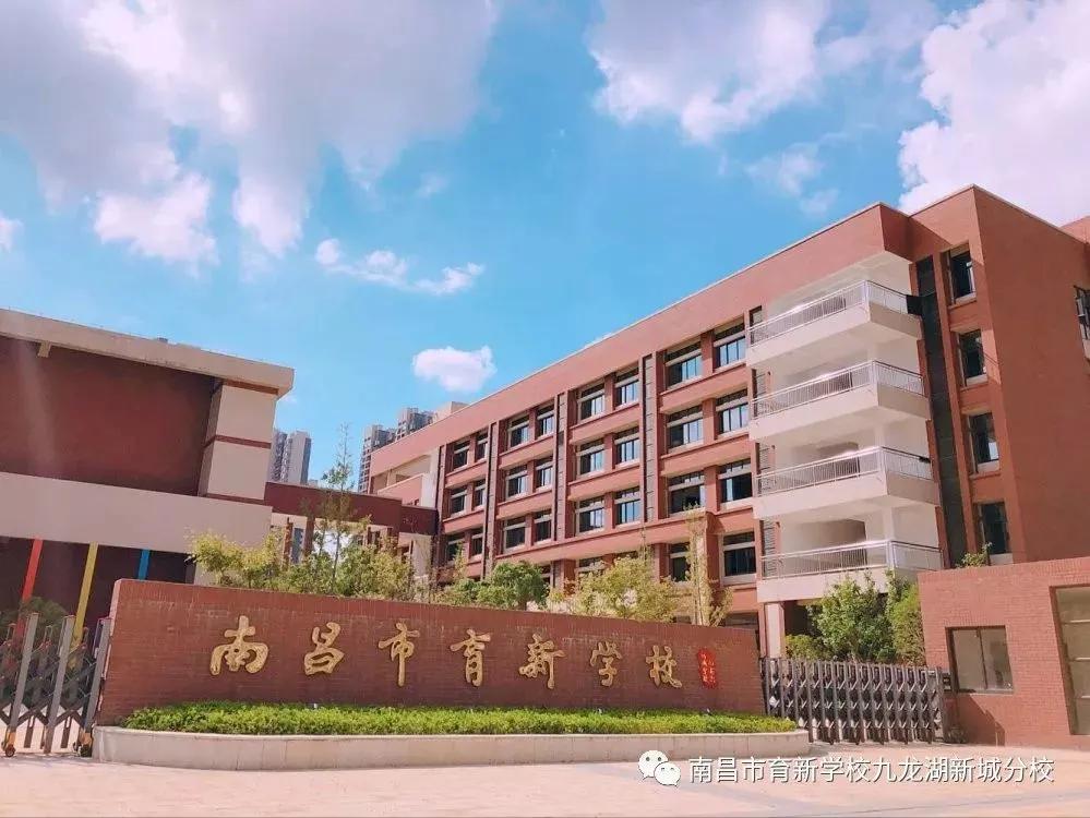 南昌育新学校九龙湖分校有小学吗,南昌育新学校九龙湖新城分校