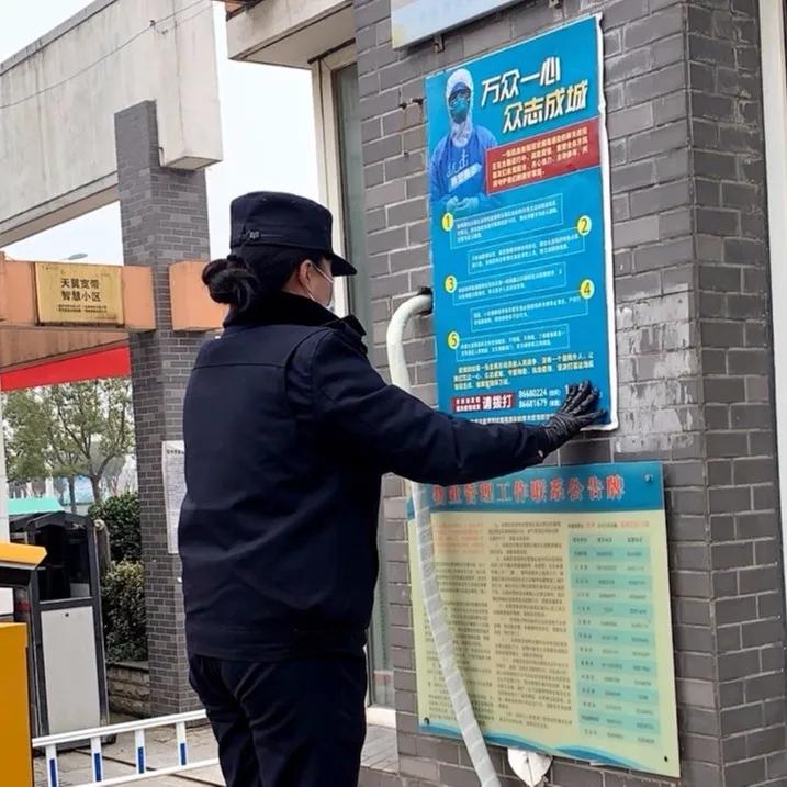 她们是金坛女神，不接受反驳