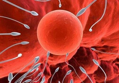 男人喝可乐对生育有害吗,可乐杀精新闻