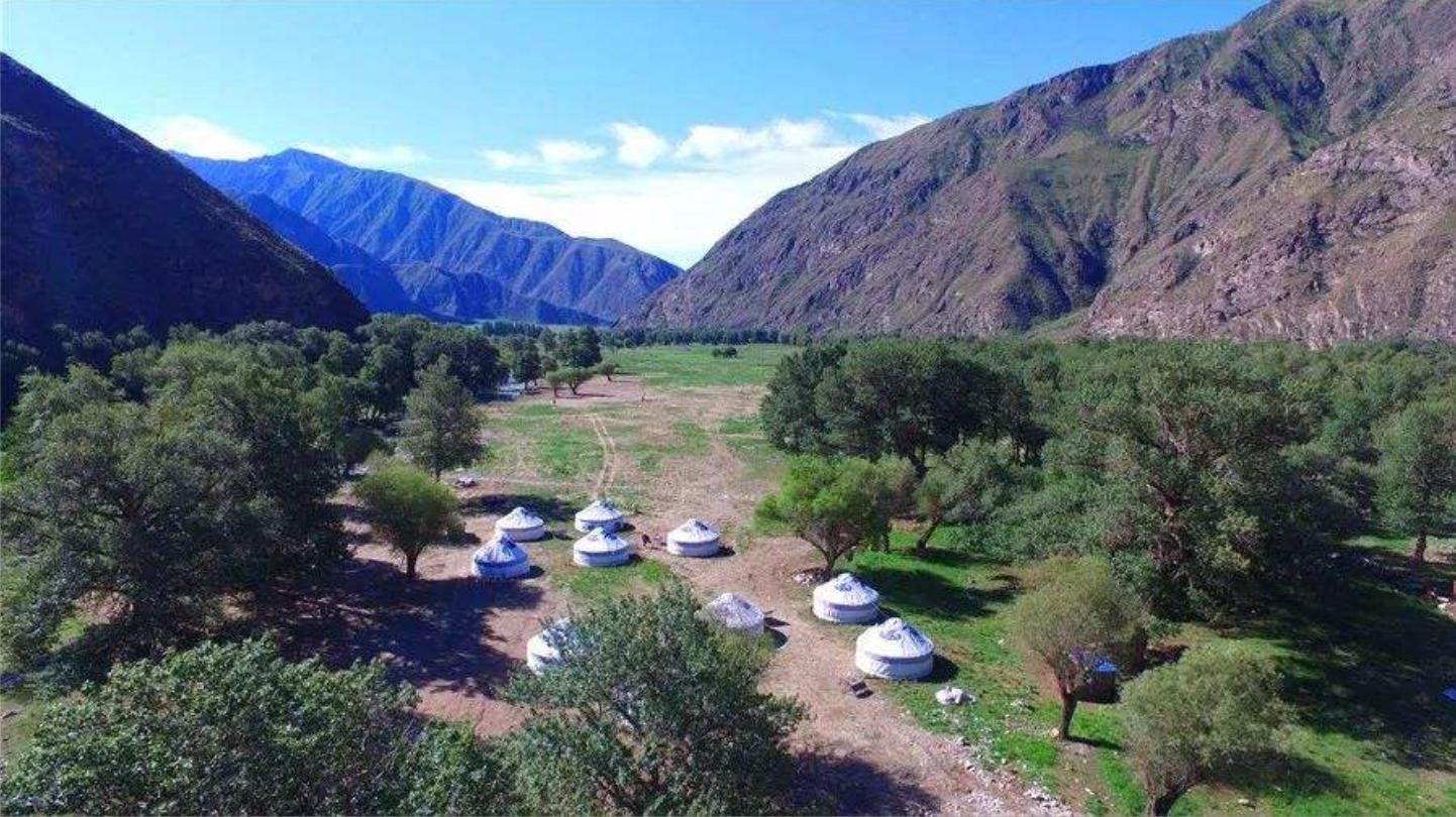 和静县乌拉斯台天鹅,新疆天鹅湖畔美丽风光