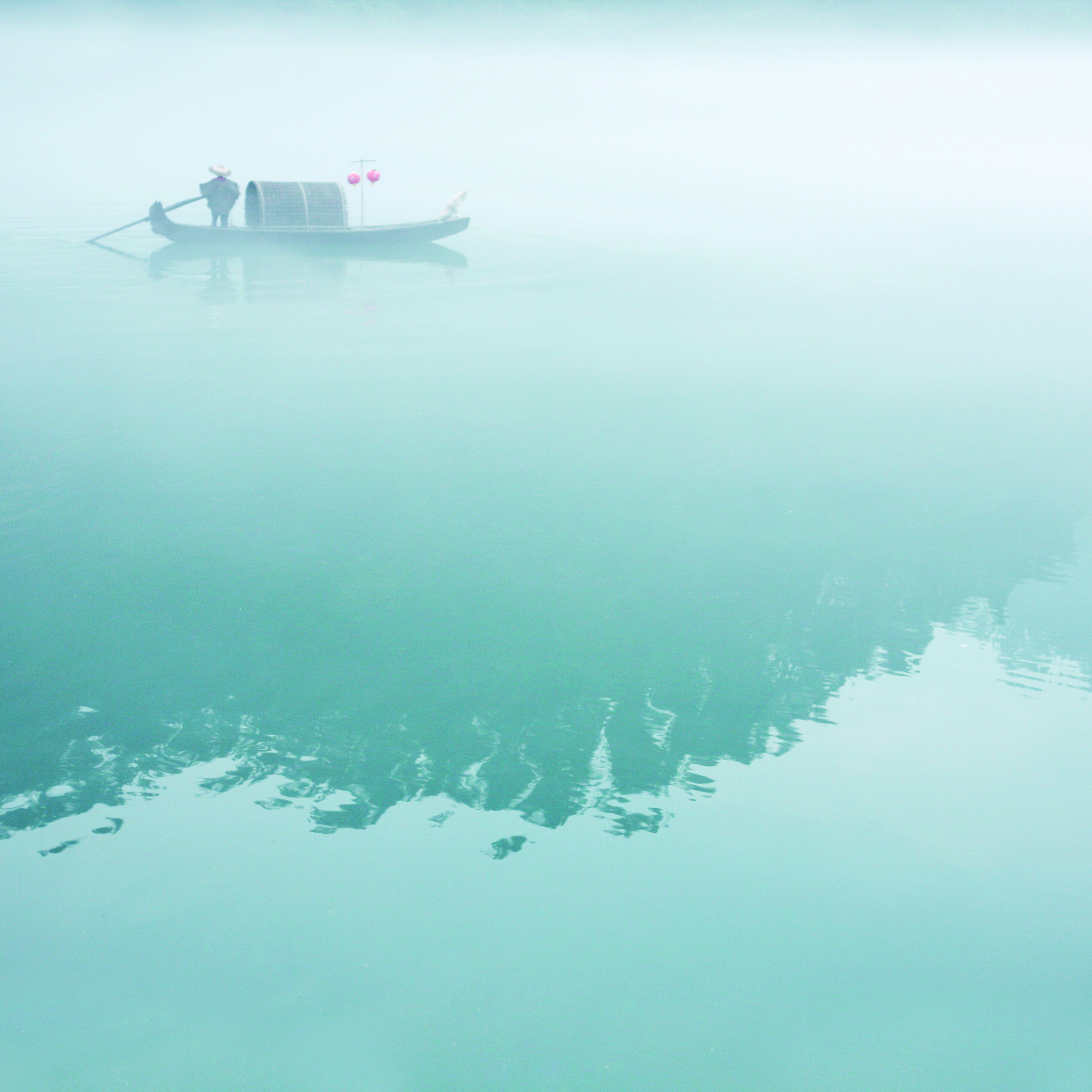 等一朵花开需要很多的耐心和微笑,等一朵花开经典句子