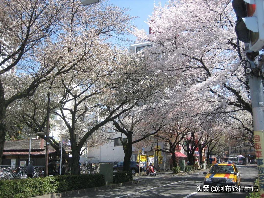 东京三鹰之森吉卜力美术馆怎么去,三鹰之森吉卜力美术馆到成田机场