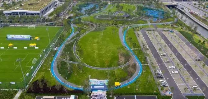 深圳5月哪里有花海看,深圳五一哪里可以看花海