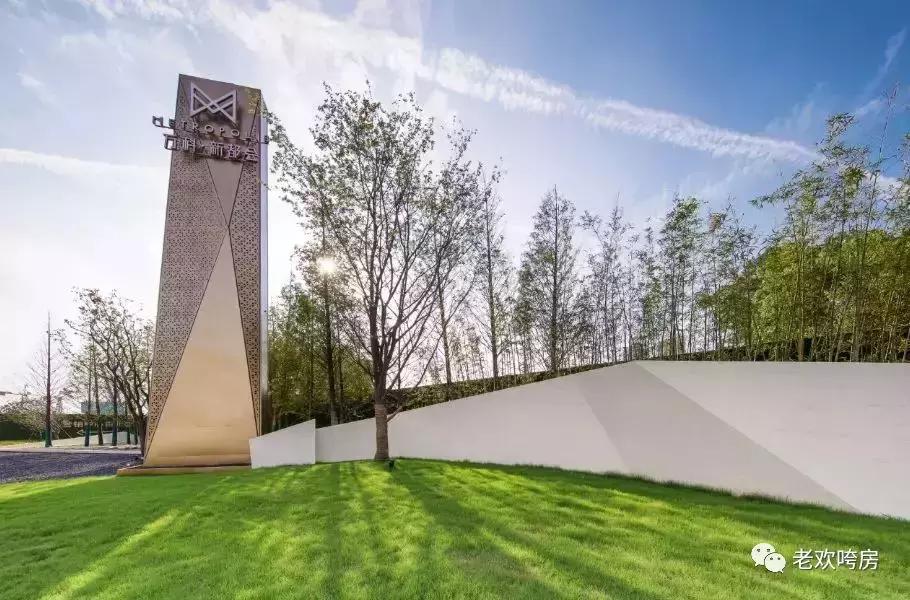 胆子粗｜武昌二环外“学景房”能卖2.7万+？