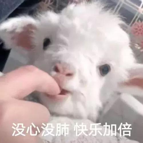 高跟鞋百元和千元差距,1000多和200块的高跟鞋区别