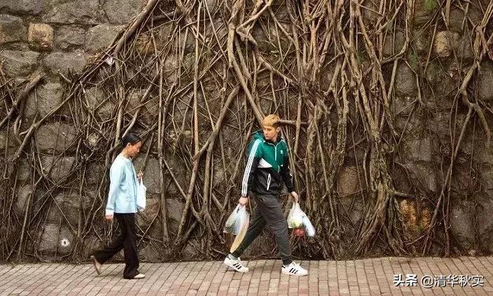 北大孝子弑母最新进展,北大学生弑母案件纪实