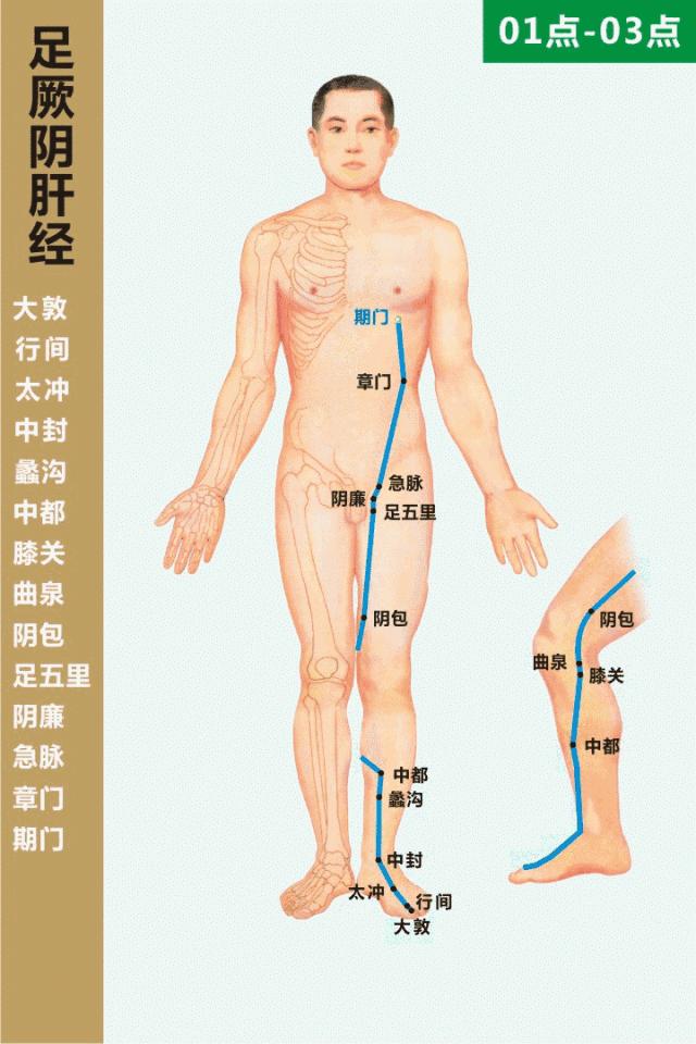 最全经络高清动图所有穴位,最全经络高清动图
