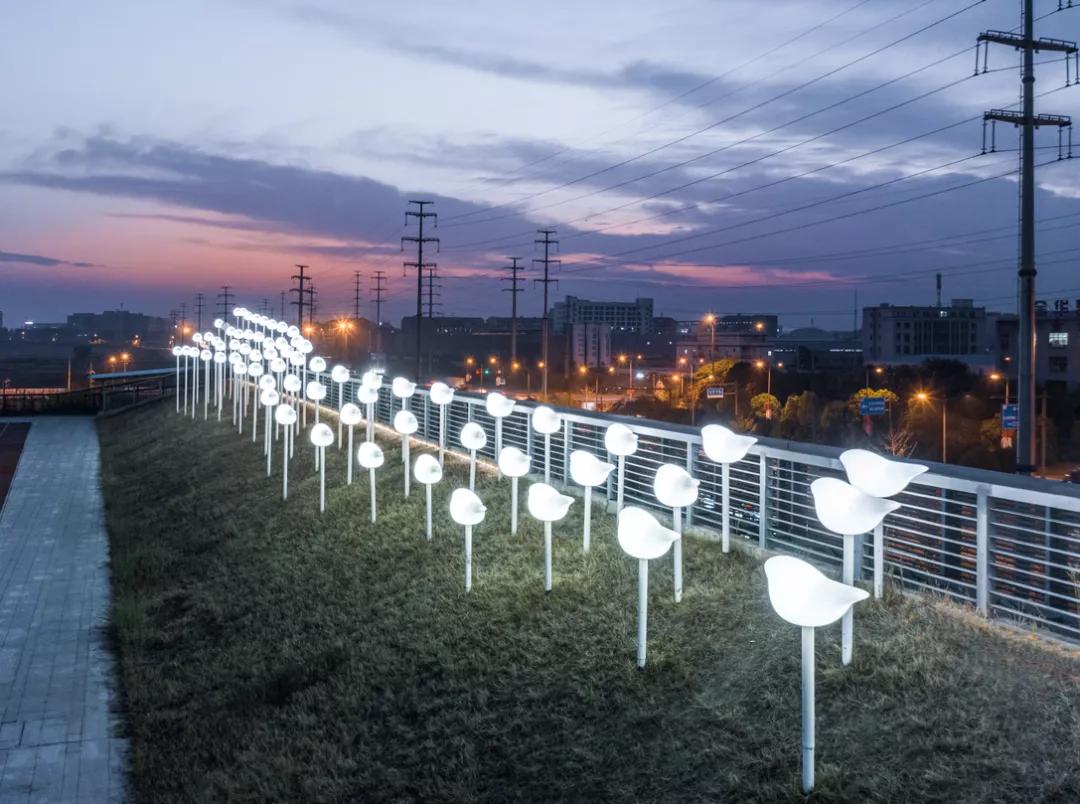 浙江金义园区菜鸟网络上班工资,金义新区阿里菜鸟电商产业园