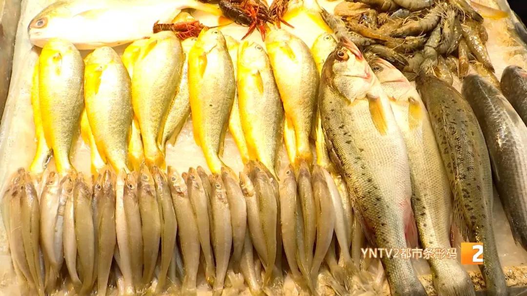 日本核废水排海后海鲜能放心吃吗,海鲜还能吃吗官方回应