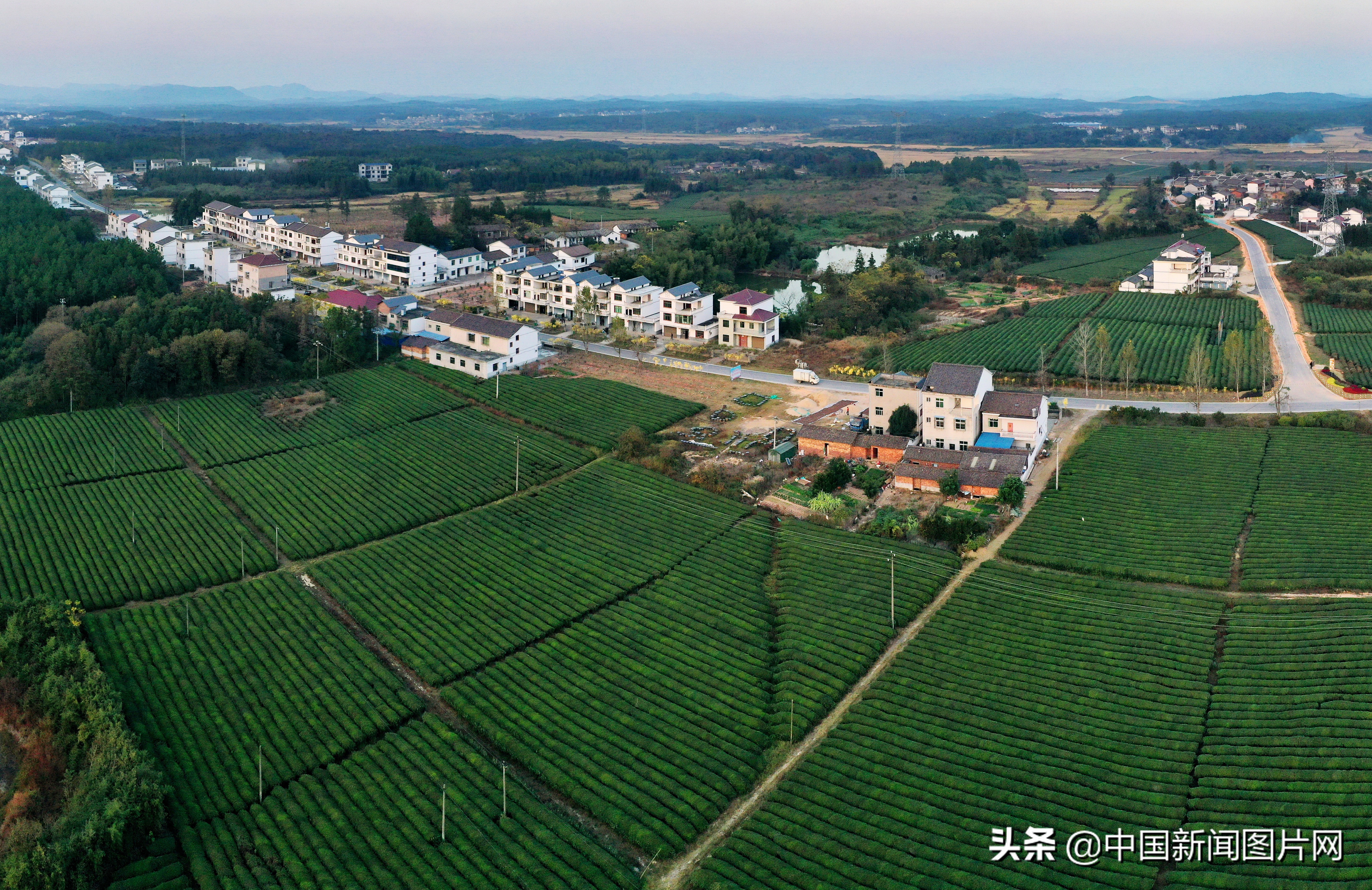 江西抚州幸福家园,江西金溪生态乡村美如画组图