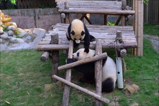 五一适合亲子游的五日游,亏欠孩子的时光用什么补