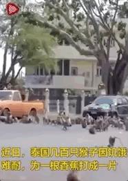 美国疫情带来的失业率,美国疫情至今失业率