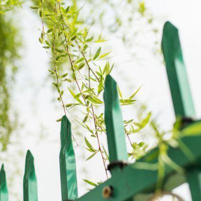 白落梅的岁月静好现世安稳,白落梅岁月静好现世安稳讲的是啥