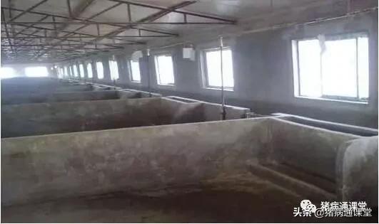 猪场猪栏,养猪栏的优缺点