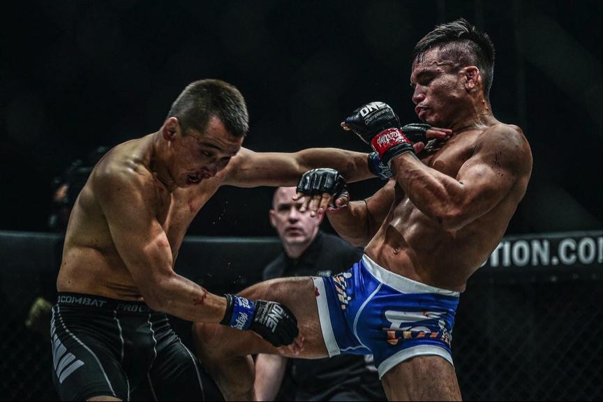 中国拳手乾坤大挪移击败日本拳手,中国拳手笼中激斗视频