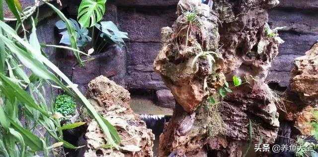 小桥流水制作全过程,小桥流水鱼缸造景技巧