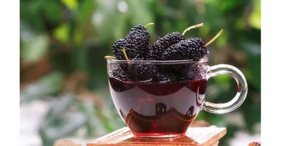 受疫情影响桑葚无人问津,雅大烤酒设备教您足不出户酿美酒