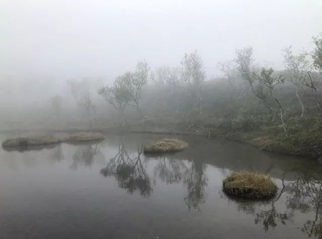 烟台海边住宅潮不潮,烟台海边是日出还是日落