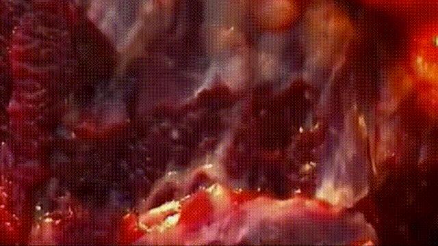 阿努纳奇创造人类7次文明,阿努纳奇人类起源