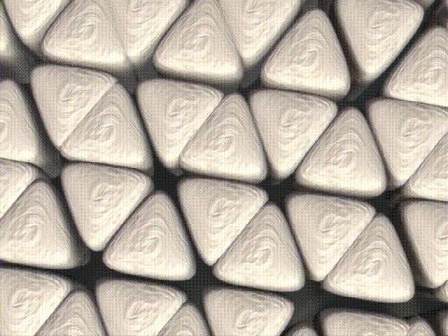 超生动|家禽生殖系统结构和禽蛋形成过程