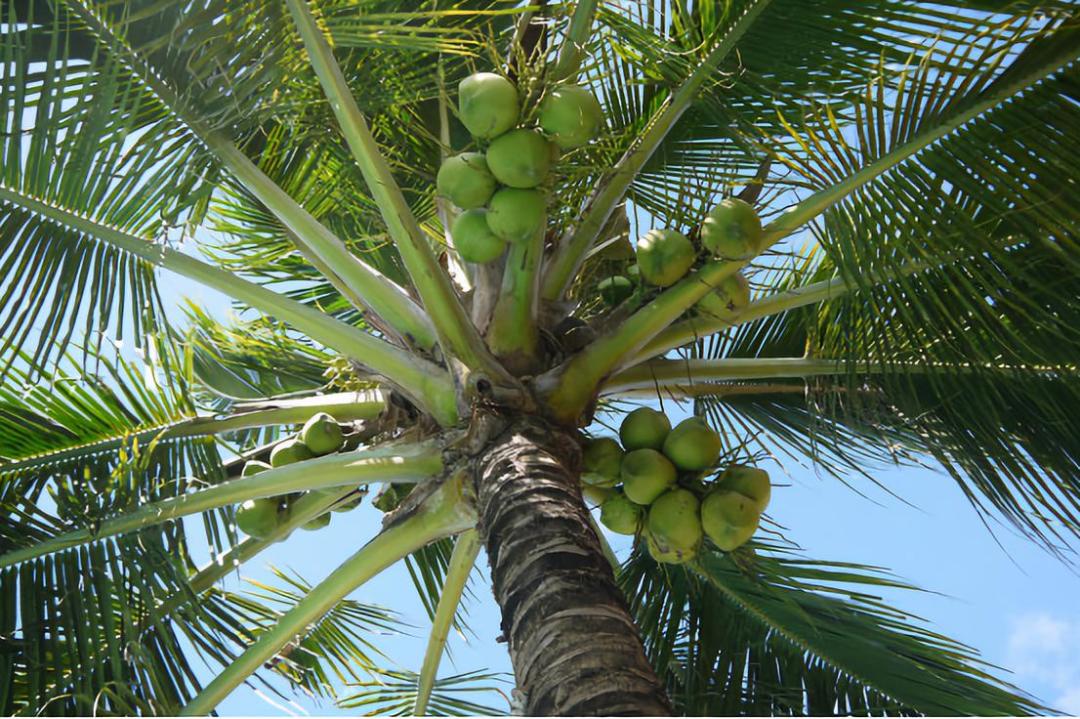 走过很多地方的诗句,走过很多地方原唱
